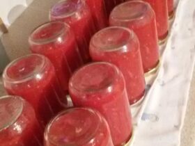 Σάλτσα Ντομάτα